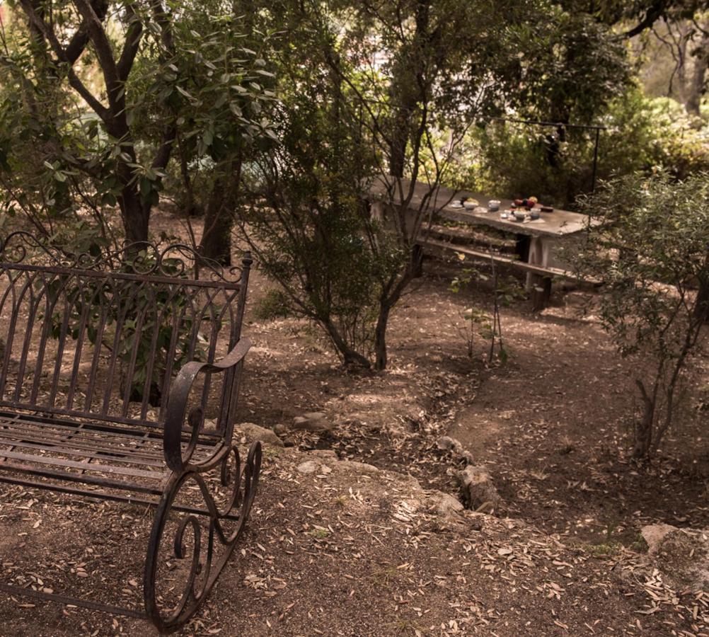 Nel Giardino Dei Pesci Volanti Villa San Pantaleo Exteriör bild